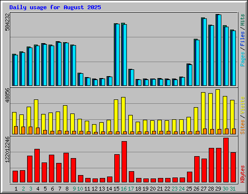 Daily usage for August 2025