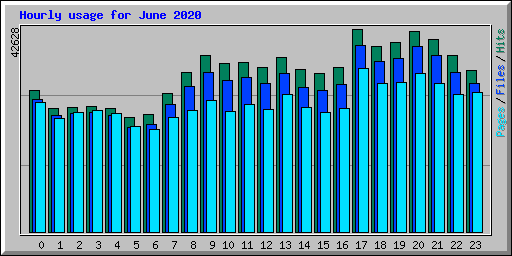 Hourly usage for June 2020