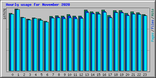 Hourly usage for November 2020