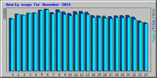 Hourly usage for November 2024