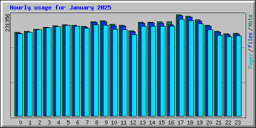 Hourly usage for January 2025