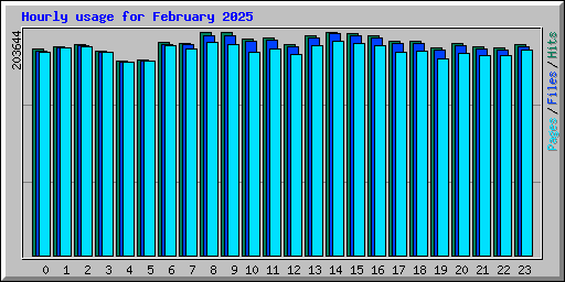 Hourly usage for February 2025