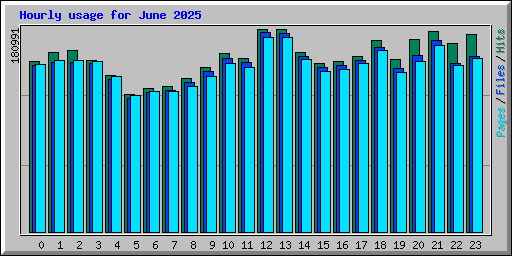 Hourly usage for June 2025