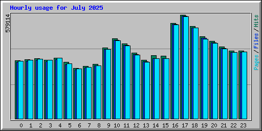 Hourly usage for July 2025