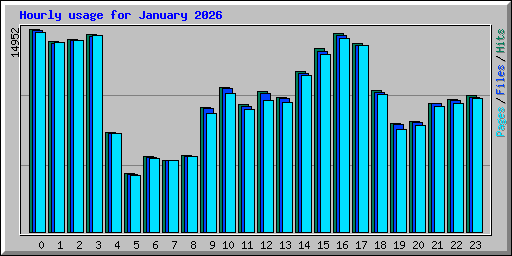 Hourly usage for January 2026